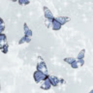 Meet your Posher, Chyna